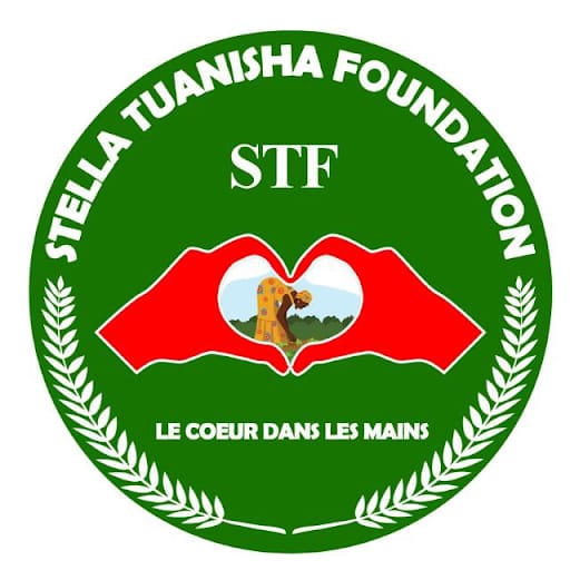 Logo STF